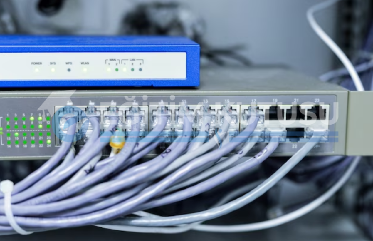 IP ADRESI SORGULAMA visual data 8