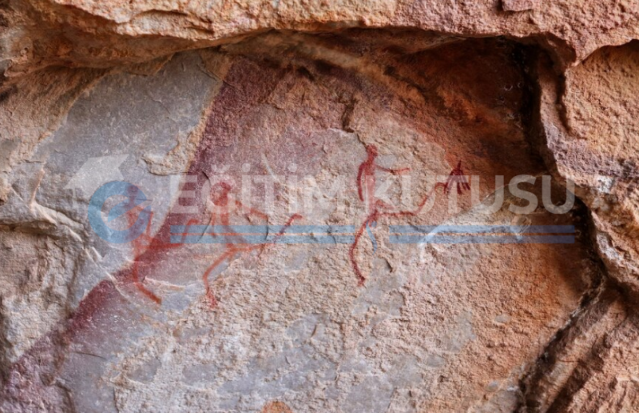 ANTROPOLOJI B L M NEDIR MEZUNLAR NE I YAPAR visual data 4