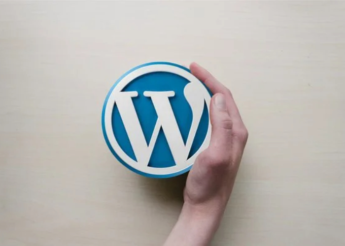 WordPress Site Kurma Eğitimi